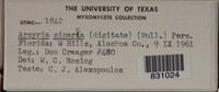 Image Associated With the Occurence